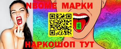 гидра Будённовск