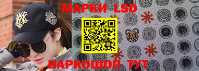 гидра Будённовск