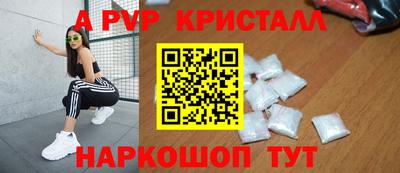 гидра Будённовск