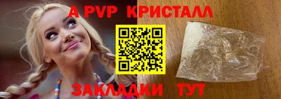 гидра Будённовск