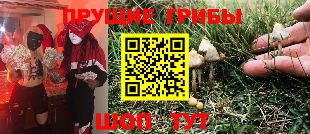 Галлюциногенные грибы ЛСД  Вход с VPN  Шали 