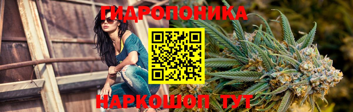 Каннабис AK-47 Шали